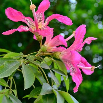 BSport·APP在线登录app下载