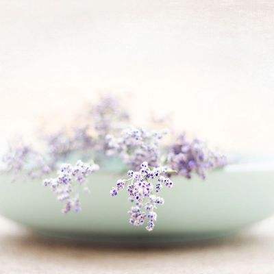 贝博app代言艾弗森手机app下载截图